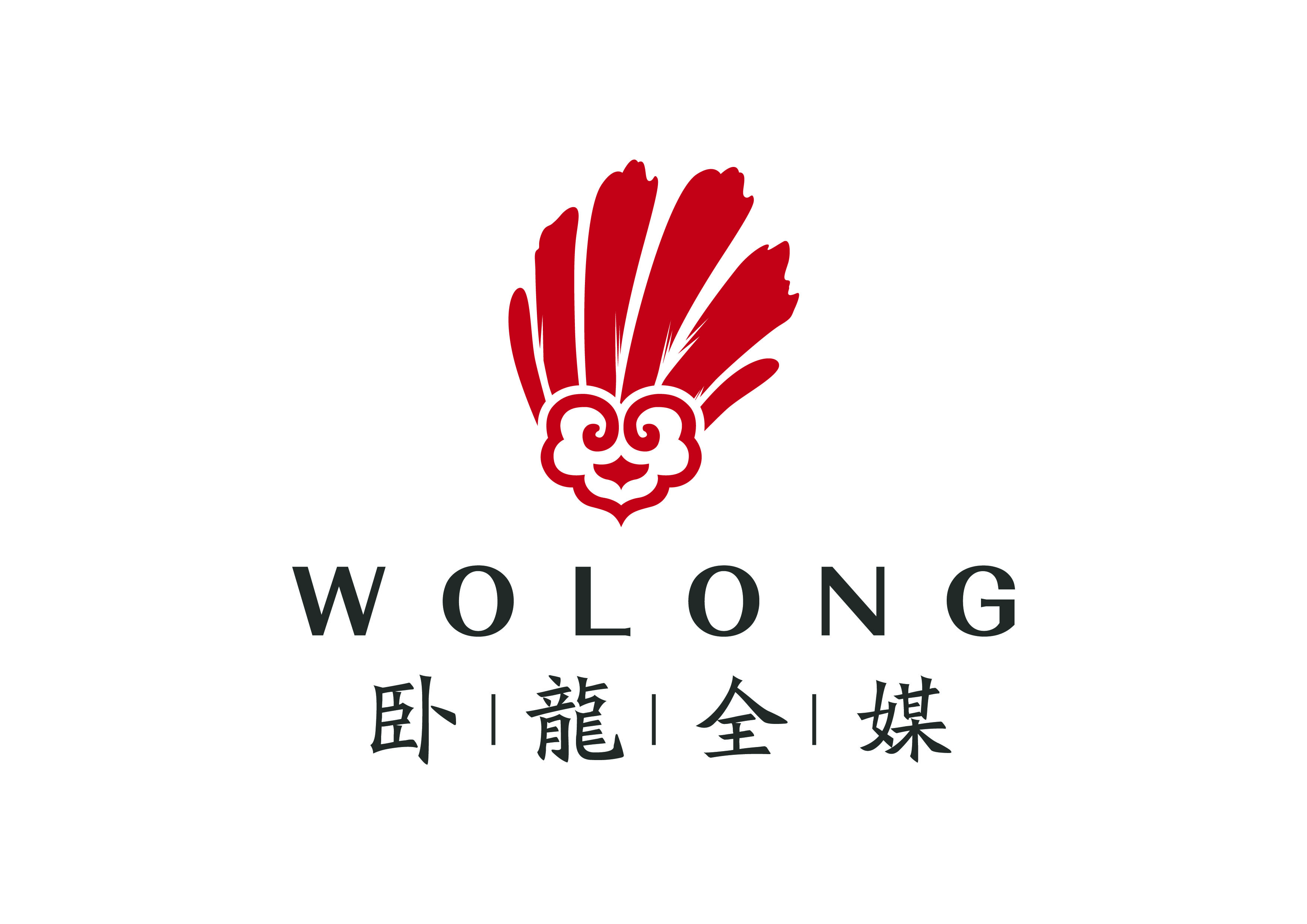 臥龍全媒logo01