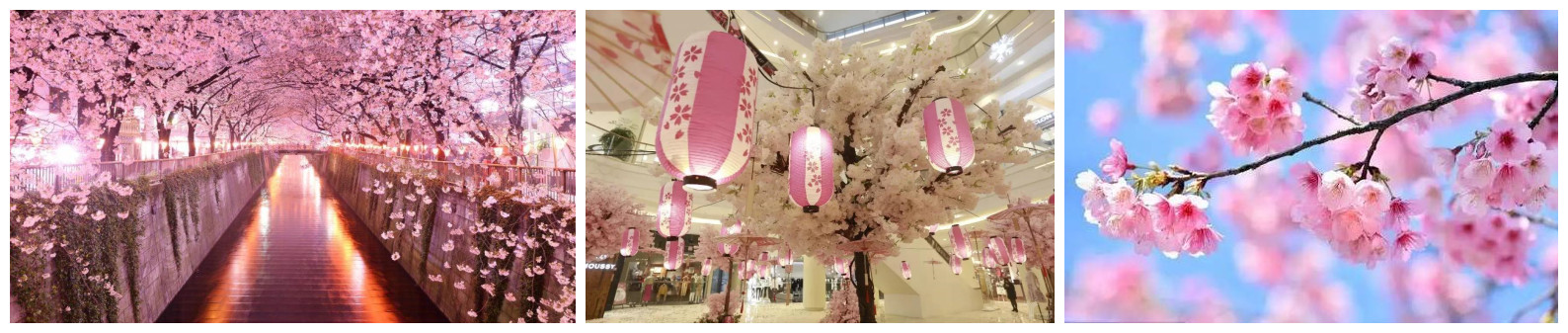 微信圖片_20210708095421_副本